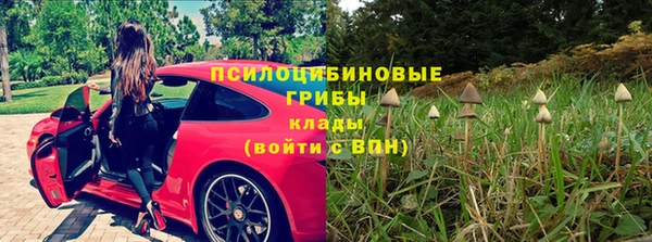 хмурый Волосово