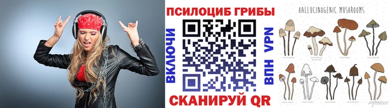 Псилоцибиновые грибы GOLDEN TEACHER  Челябинск 